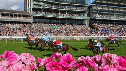 Racing News
