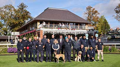 Meet The Team